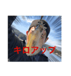 エセパリ（個別スタンプ：3）