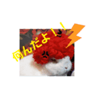 夢うさぎ（個別スタンプ：4）