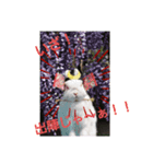 夢うさぎ（個別スタンプ：5）