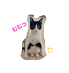 シンバとサンバ（個別スタンプ：1）
