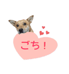 犬と猫、ムカつき可愛い時々コワい2.0（個別スタンプ：26）