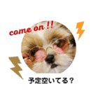 ぽお太郎君日常スタンプ（個別スタンプ：2）