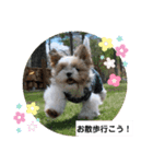 ぽお太郎君日常スタンプ（個別スタンプ：3）
