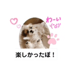ぽお太郎君日常スタンプ（個別スタンプ：6）