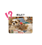 ぽお太郎君日常スタンプ（個別スタンプ：7）