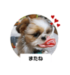 ぽお太郎君日常スタンプ（個別スタンプ：8）