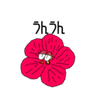 New Flower beach（個別スタンプ：17）