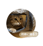 おとたんの日常スタンプ（個別スタンプ：2）