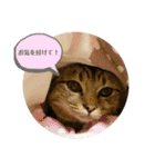 おとたんの日常スタンプ（個別スタンプ：4）
