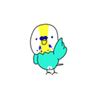 インコたちのやる気のないスタンプ（個別スタンプ：13）