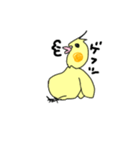 インコたちのやる気のないスタンプ（個別スタンプ：24）
