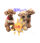 らぶちゃん家族の日常1（個別スタンプ：3）