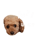 らぶちゃん家族の日常1（個別スタンプ：4）