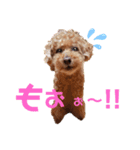 らぶちゃん家族の日常1（個別スタンプ：5）