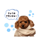 らぶちゃん家族の日常1（個別スタンプ：13）