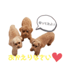 らぶちゃん家族の日常1（個別スタンプ：15）