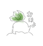 だいこん姉さん（個別スタンプ：1）