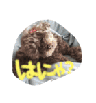 可愛いくくちゃんPart2（個別スタンプ：1）