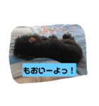 可愛いくくちゃんPart2（個別スタンプ：9）