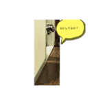 ちろちゃんの一言（個別スタンプ：2）