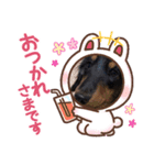 くまちゃんの日常(´ε｀ )♡（個別スタンプ：8）
