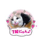 ほのぼの猫シェリル＆ローランド日常 挨拶（個別スタンプ：14）