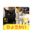 ちょこぽんもず（個別スタンプ：2）