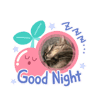 ちょこぽんもず（個別スタンプ：7）