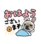 ちゃまめちゃま（個別スタンプ：2）