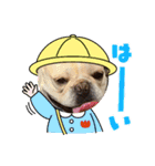ちゃまめちゃま（個別スタンプ：6）