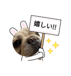 ちゃまめちゃま（個別スタンプ：11）
