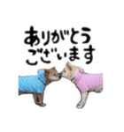 Renrenmo（個別スタンプ：11）