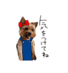 Renrenmo（個別スタンプ：23）