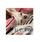 私アリス。（個別スタンプ：5）