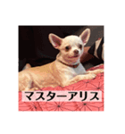私アリス。（個別スタンプ：8）