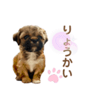 小川屋のスタンプSeason1（個別スタンプ：3）