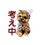 小川屋のスタンプSeason1（個別スタンプ：8）