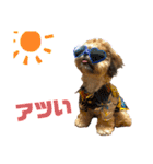 小川屋のスタンプSeason1（個別スタンプ：13）
