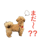 小川屋のスタンプSeason1（個別スタンプ：21）