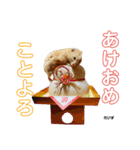 小川屋のスタンプSeason1（個別スタンプ：24）