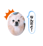 noa_スタンプ②（個別スタンプ：5）