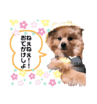 noa_スタンプ②（個別スタンプ：6）