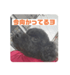 何かと使いやすいスタンプ（個別スタンプ：4）