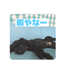 何かと使いやすいスタンプ（個別スタンプ：7）