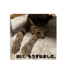 むーたんりーたん（個別スタンプ：2）
