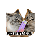むーたんりーたん（個別スタンプ：7）