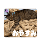 むーたんりーたん（個別スタンプ：8）