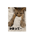 むーたんりーたん（個別スタンプ：9）