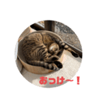 むーたんりーたん（個別スタンプ：10）