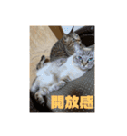 むーたんりーたん（個別スタンプ：12）